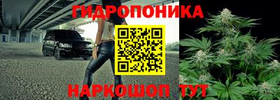 стаф Ливны