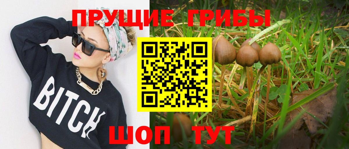 Псилоцибиновые грибы мицелий  Вход с VPN  сколько стоит  Тулун 