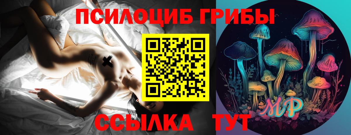 Галлюциногенные грибы MAGIC MUSHROOMS Тулун